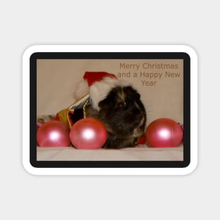 Priscilla - Merry Christmas & a Happy New Year Magnet