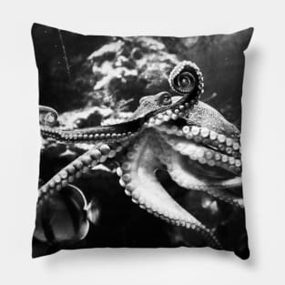 Silent Monochrome Tendrils Pillow