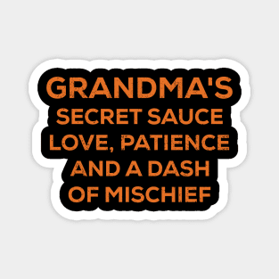 Grandma's secret sauce Love, patience, and a dash of mischief Magnet