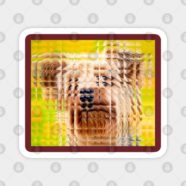 Glass Block Yorkie looking at you Magnet by Comic Dzyns