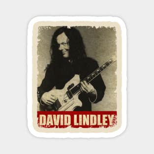 David Lindley - NEW RETRO STYLE Magnet