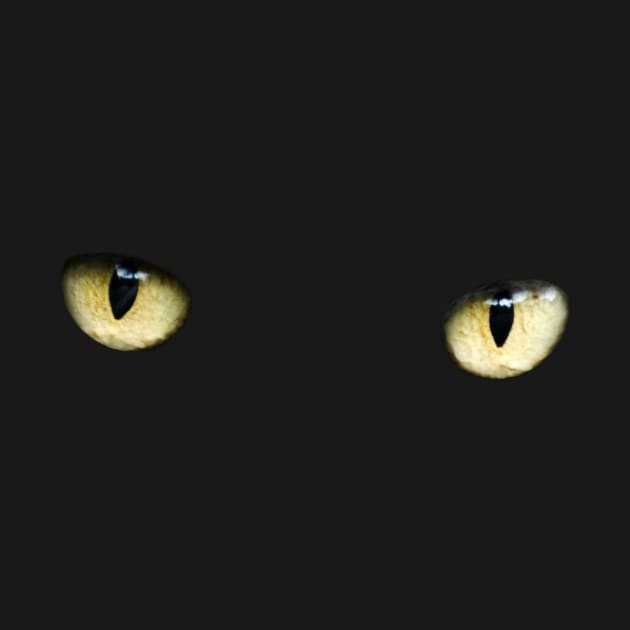 Black Cat Yellow Eyes by TheRelaxedWolf