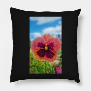 Beautiful Viola Flower Pillow