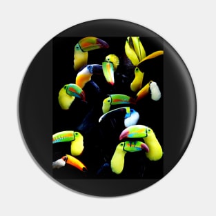 Toucans Pin