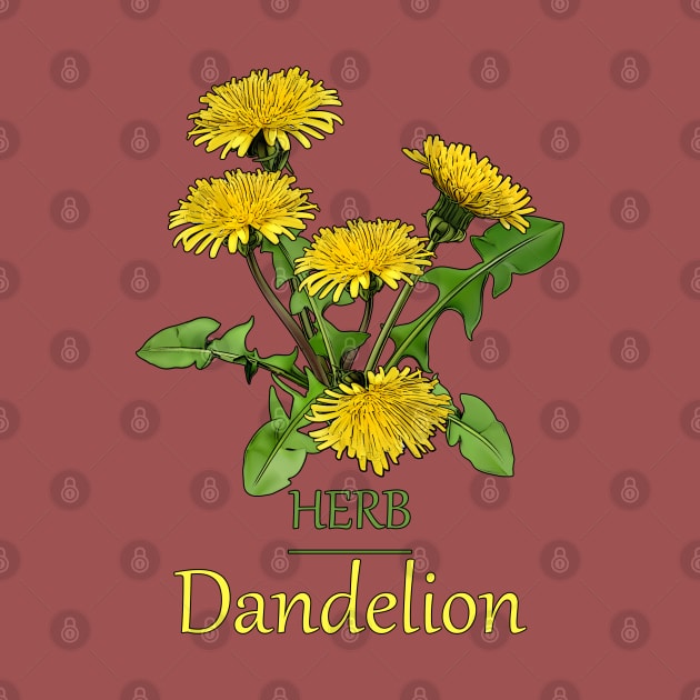 Herb Dandelion-Dandelion-Herb plant -Spring flower -Beautiful Herb flowers by KrasiStaleva