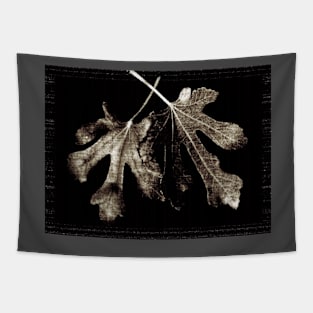 fig leaves Tapestry