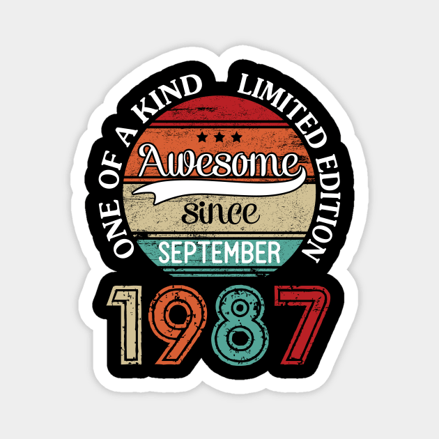 Happy Birthday 33 Years Old To Me Awesome Since September 1987 One Of A Kind Limited Edition Magnet by joandraelliot