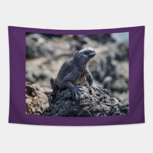 Galapagos Marine Iguana Tapestry