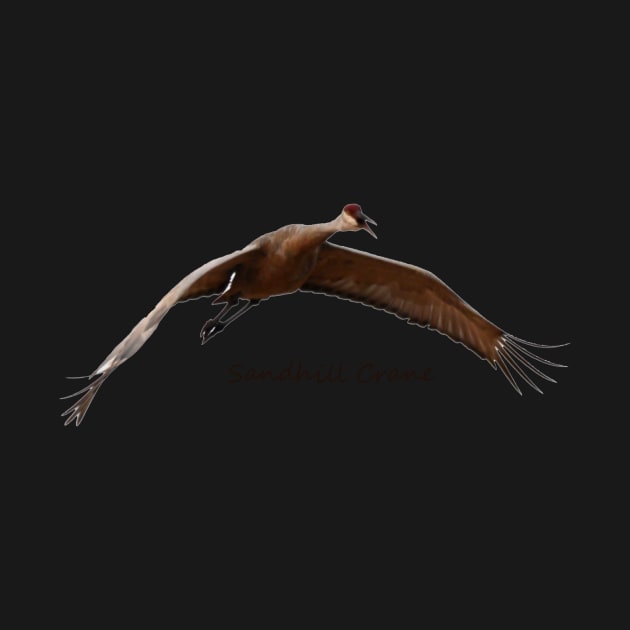 Sandhill Crane in Flight by Whisperingpeaks