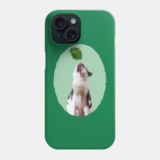 My Fav Food Is Kale Phone Case