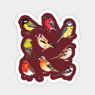 Watercolour Garden Birds Collection Magnet