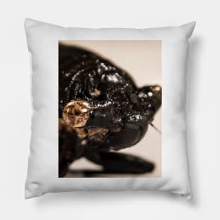 Cicada Pillow