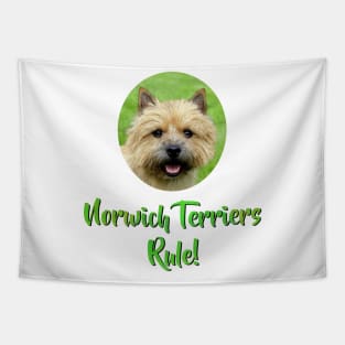 Norwich Terriers Rule! Tapestry