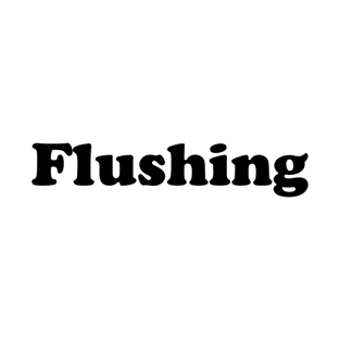 Flushing T-Shirt