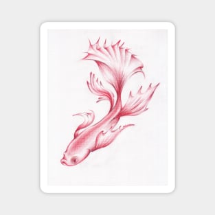 Coral Queen - Betta Fighting Fish Drawing Magnet