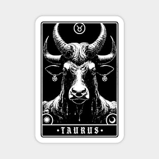 TAURUS Magnet