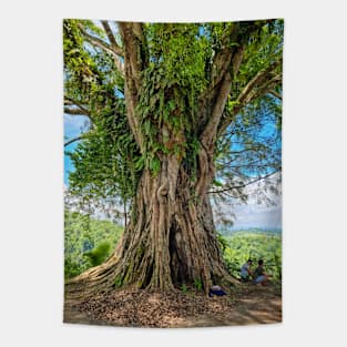 Beautiful Old Balete Tree, Philippines Tapestry