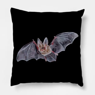 Bat Pillow