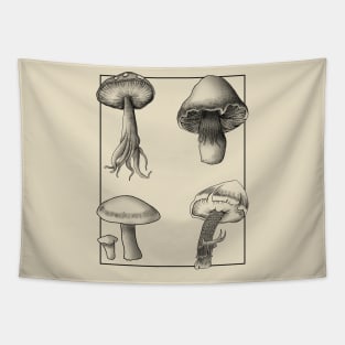 Botanical Mushrooms lineart Tapestry