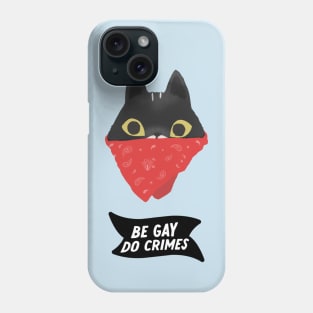 Be gay Do Crimes - Cat bandit version Phone Case