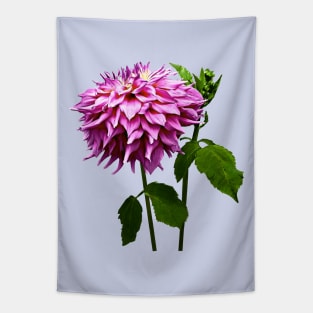 One Pink Dahlia and Buds Tapestry
