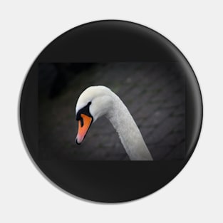 Lakes: swan Pin