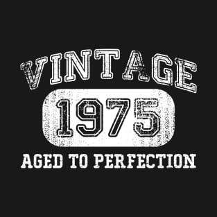 Vintage 1975 Birthday Gift, 46 Years Old Birthday, Born in 1975 T-Shirt