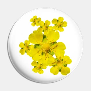 Yellow flowers Pin