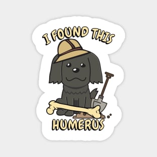 Funny dog is an archaeologist Magnet