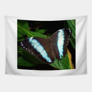 Blue Striped Butterfly Tapestry