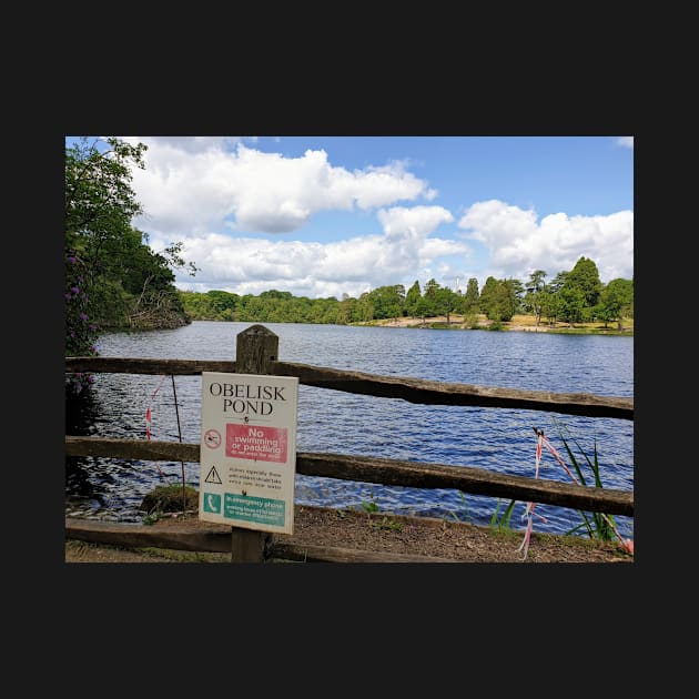 Obelisk pond at Virginia Water by fantastic-designs