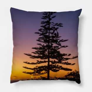 Namibia. Swakopmund. Tree. Sunset. Pillow