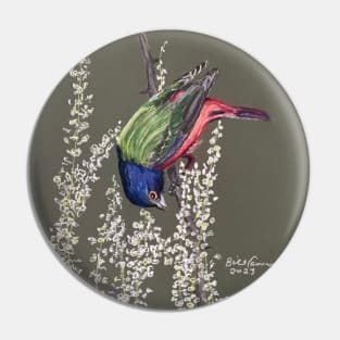 Painted Bunting Pin