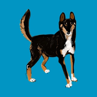 Black Alpine Dingo T-Shirt