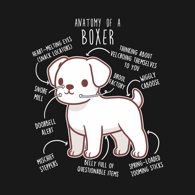 Boxer Dog White Anatomy by Psitta