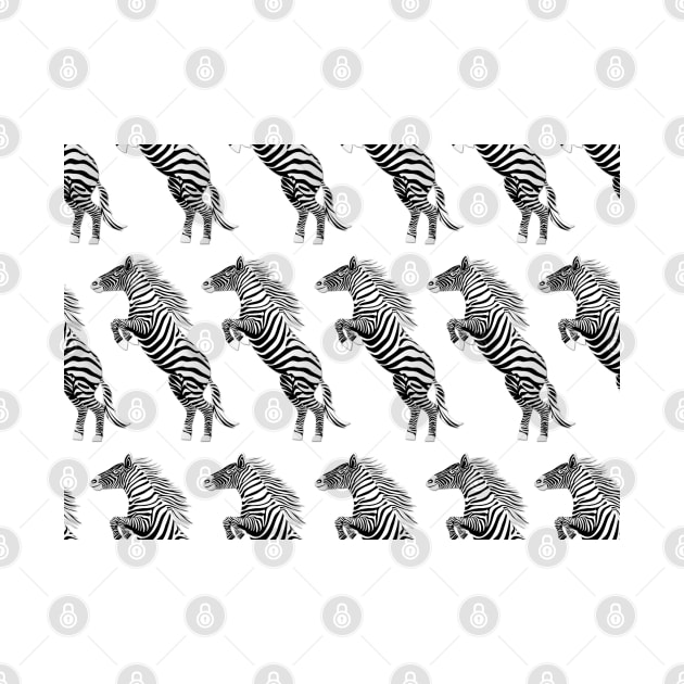 Jumping zebra by ilhnklv