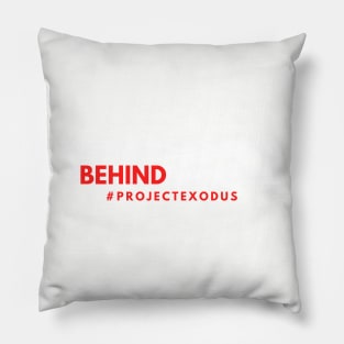 PER 19 Pillow