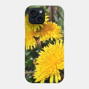 Spring Dandelions - Variation in Lighting - Early Spring Blooms Phone Case