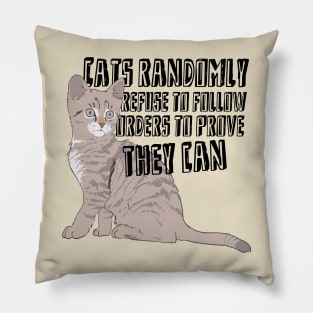 Insane Cat Pillow