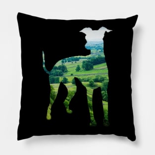 A Yorkshire Greyhound Pillow