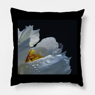 angels Tears Pillow