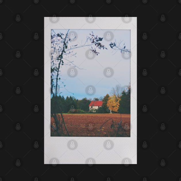 Cottage in the Woods (Locket By Crumb) Instant Photo by tessiaphoto