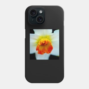 Macro photo of a poet’s daffodil Phone Case