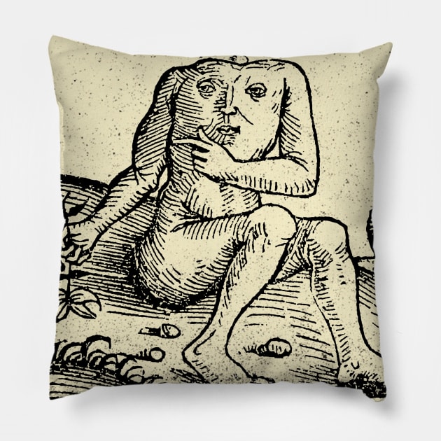 Medieval Monster Pillow by GrampaTony