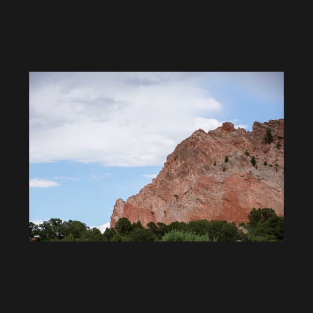 Garden of the Gods by photosbyalexis