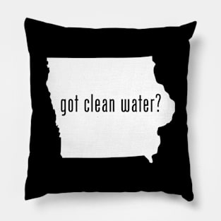 IA-Got Clean Water? Pillow