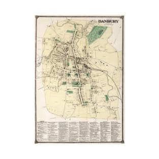 Vintage Map of Danbury Connecticut (1867) T-Shirt