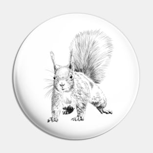 Eichhörnchen Pin