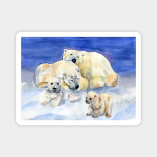 White bears Magnet