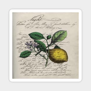 dark academia vintage Mediterranean fruit orchard citrus blossom yellow lemon Magnet